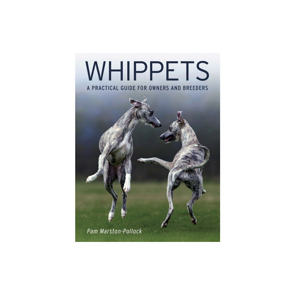 The Crowood Press Ltd Whippets (häftad, eng)