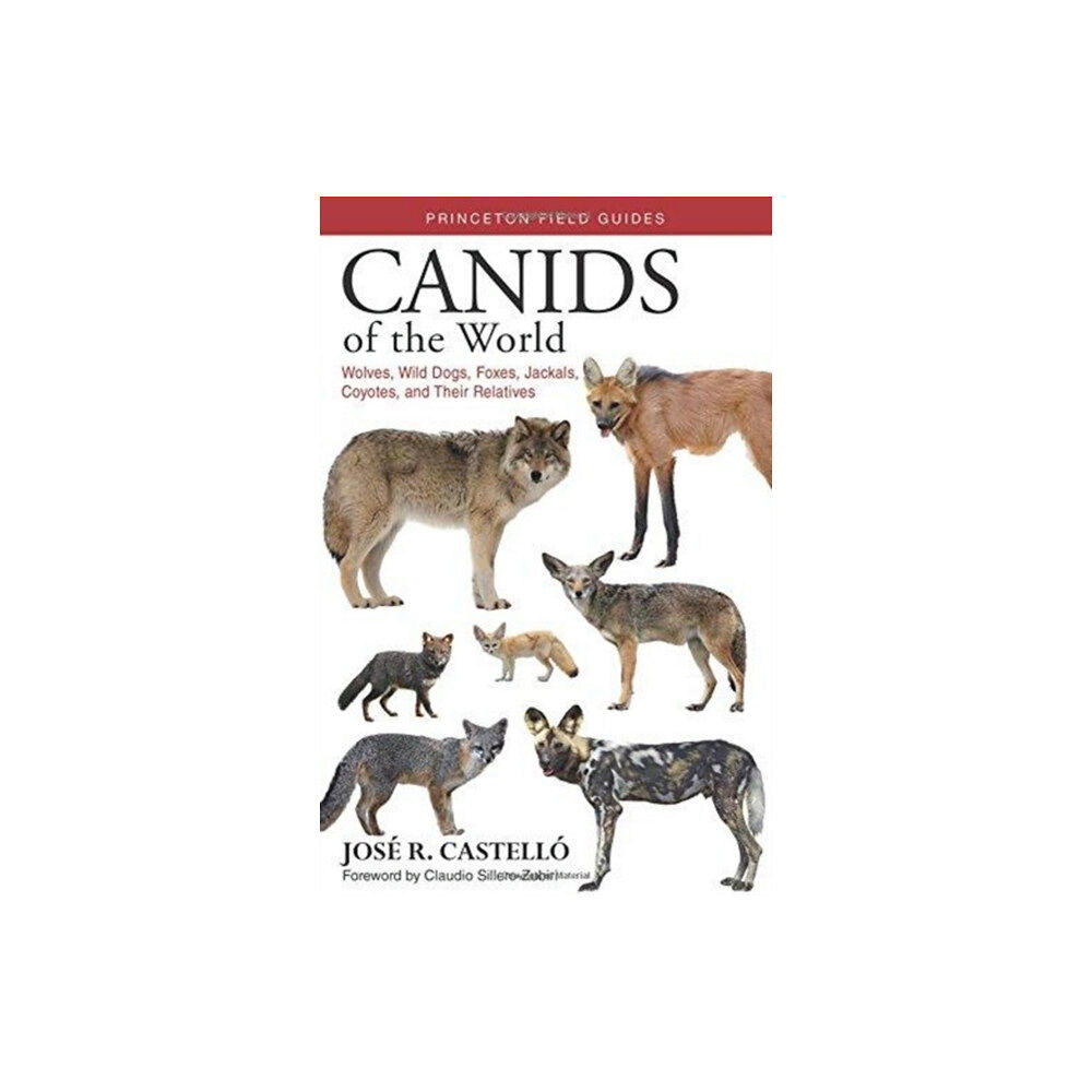 Princeton University Press Canids of the World (häftad, eng)