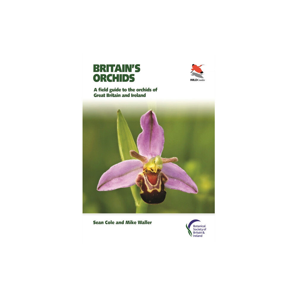 Princeton University Press Britain's Orchids (häftad, eng)