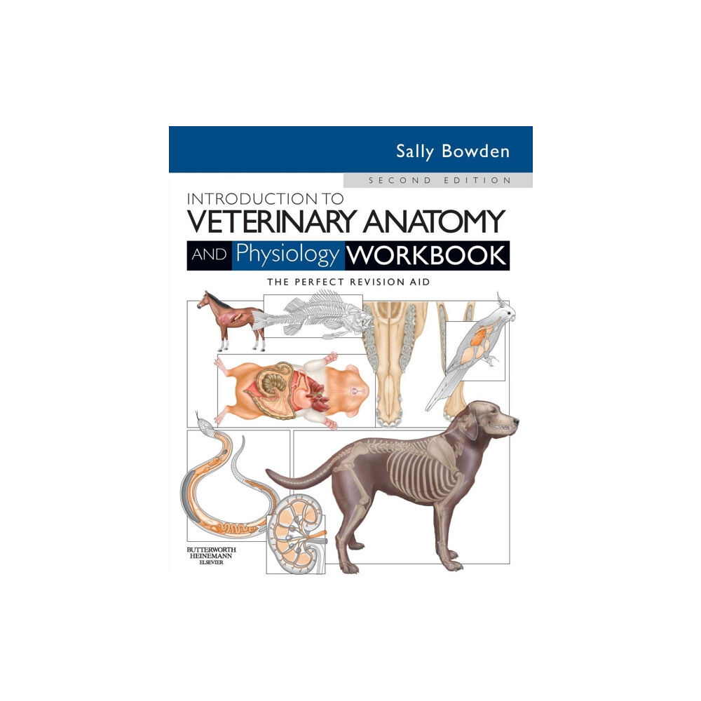 Elsevier Science & Technology Introduction to Veterinary Anatomy and Physiology Workbook (häftad, eng)