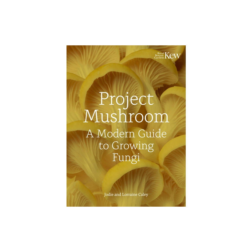 Quarto Publishing Plc Project Mushroom (inbunden, eng)