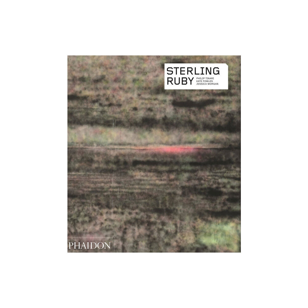 Phaidon Press Ltd Sterling Ruby (häftad, eng)