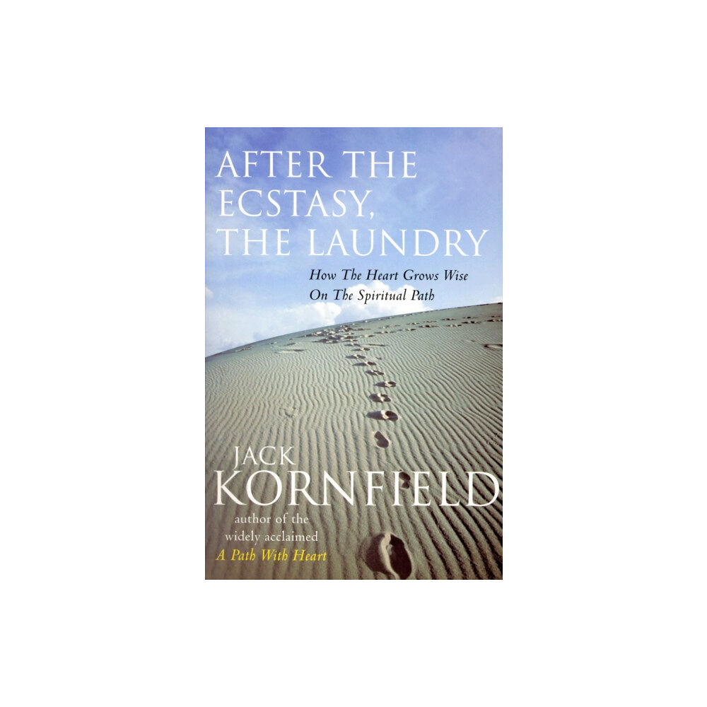 Ebury Publishing After The Ecstasy, The Laundry (häftad, eng)