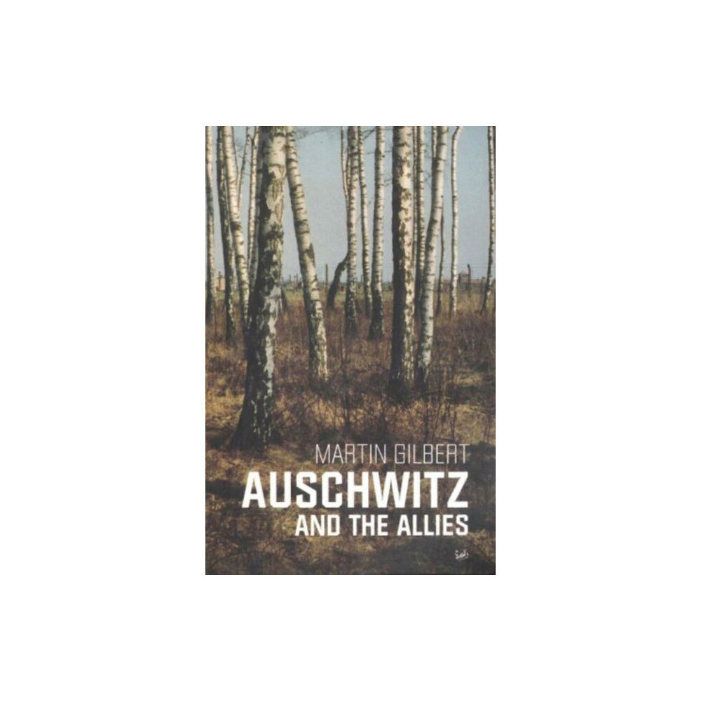 Vintage Auschwitz And The Allies (häftad, eng)