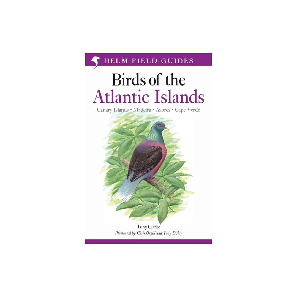 Bloomsbury Publishing PLC Field Guide to the Birds of the Atlantic Islands (häftad, eng)