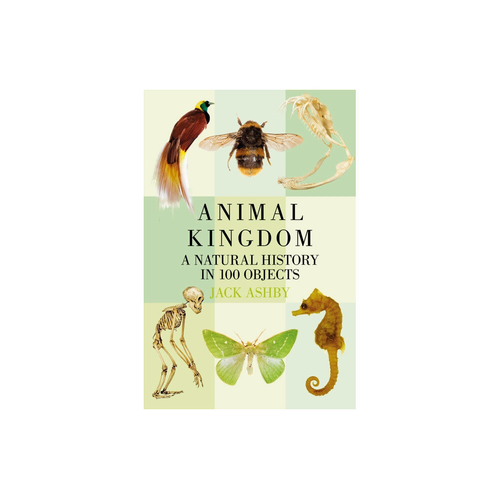 The History Press Ltd Animal Kingdom (häftad, eng)