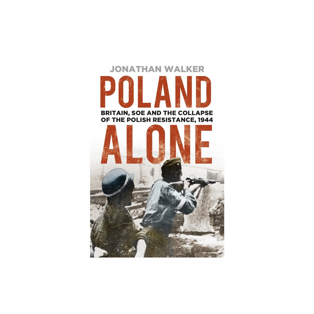 The History Press Ltd Poland Alone (häftad, eng)