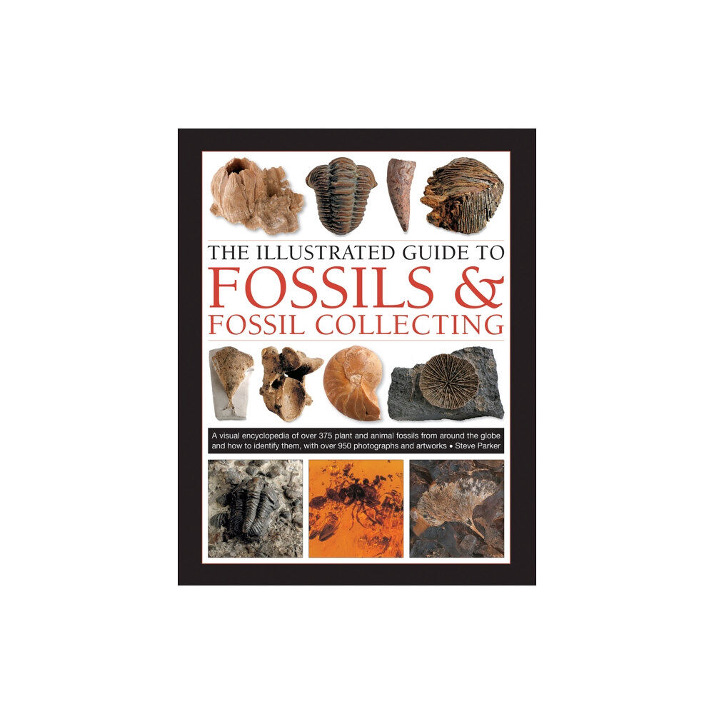 Anness publishing Fossils & Fossil Collecting, The Illustrated Guide to (inbunden, eng)