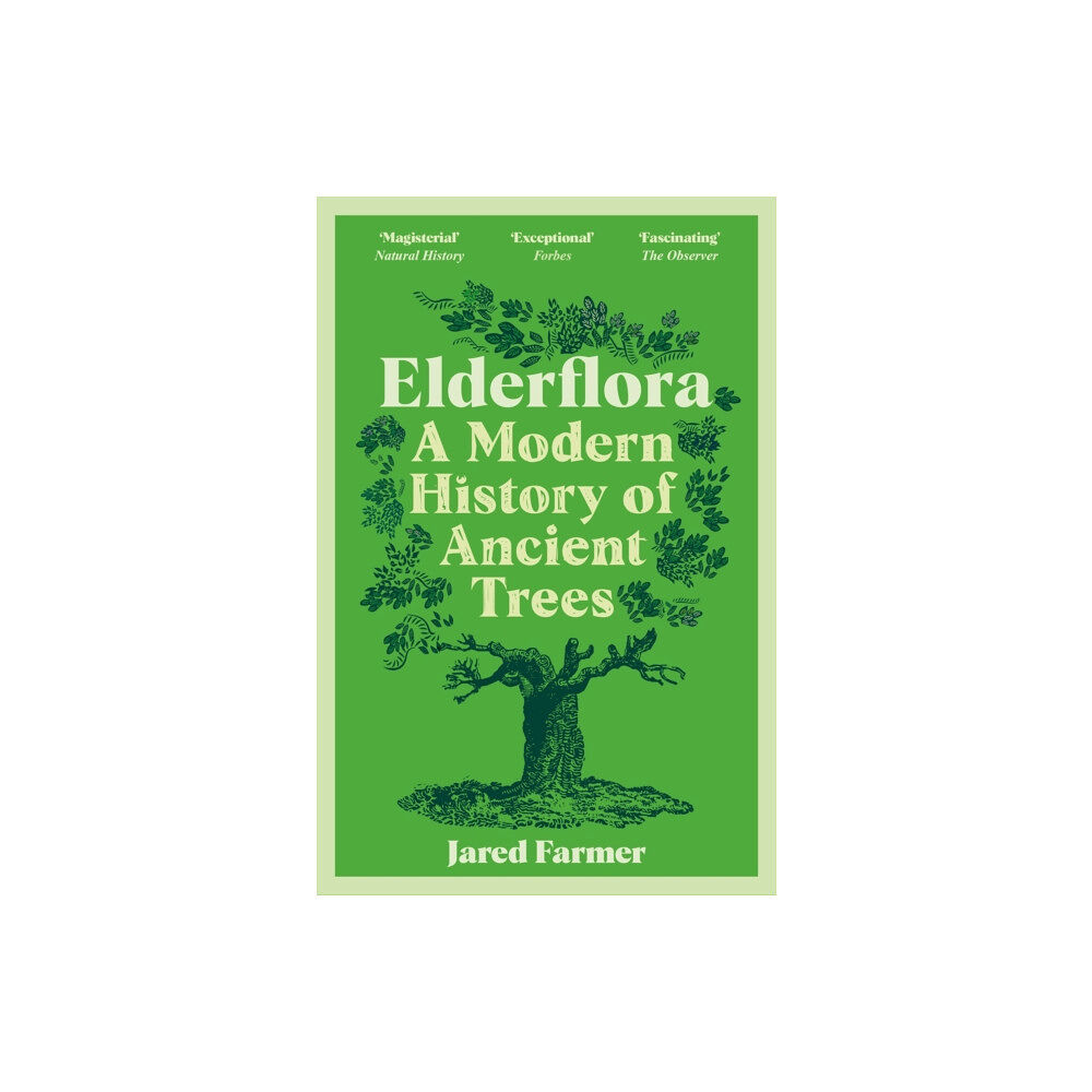 Pan Macmillan Elderflora (häftad, eng)