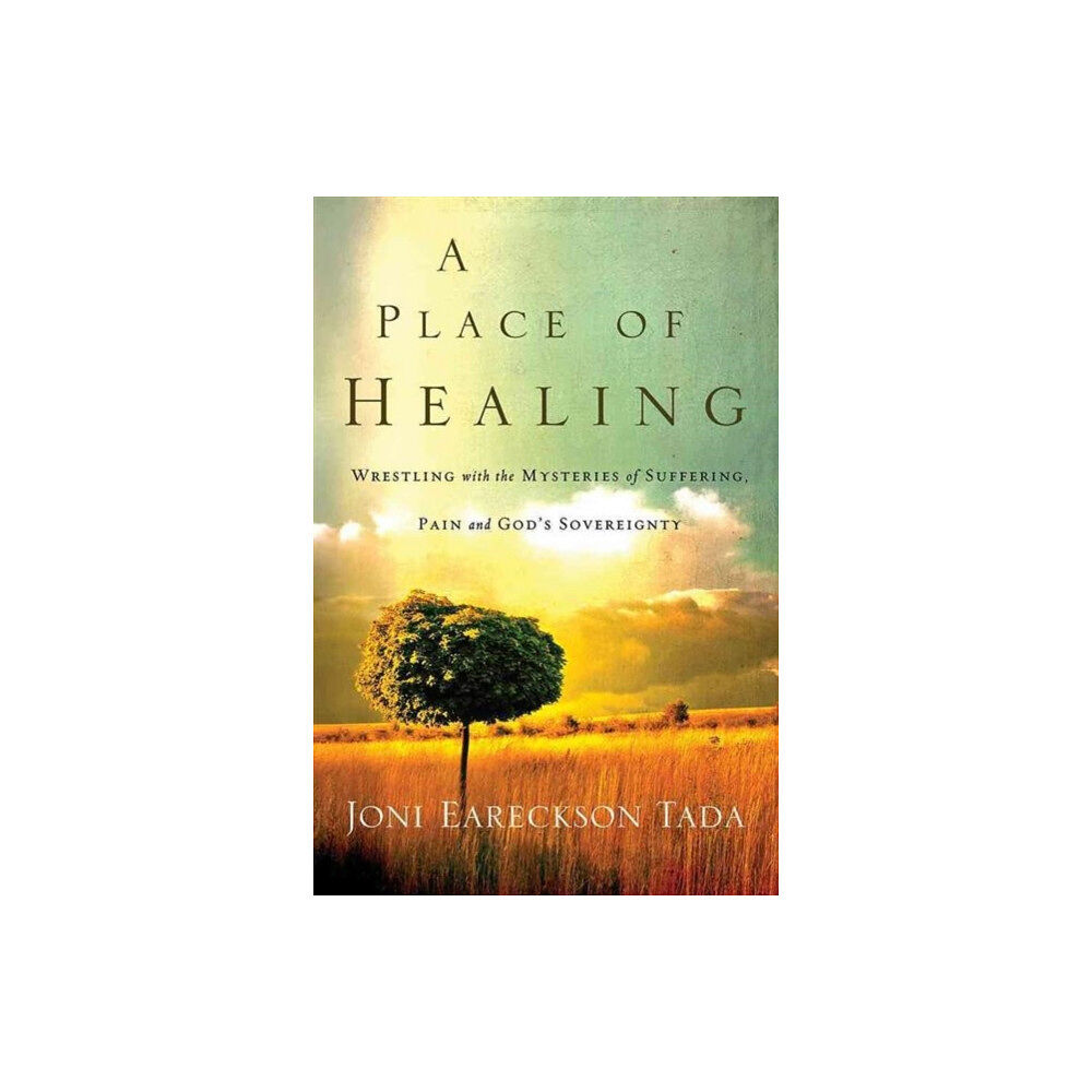 David C Cook Publishing Company A Place of Healing (häftad, eng)