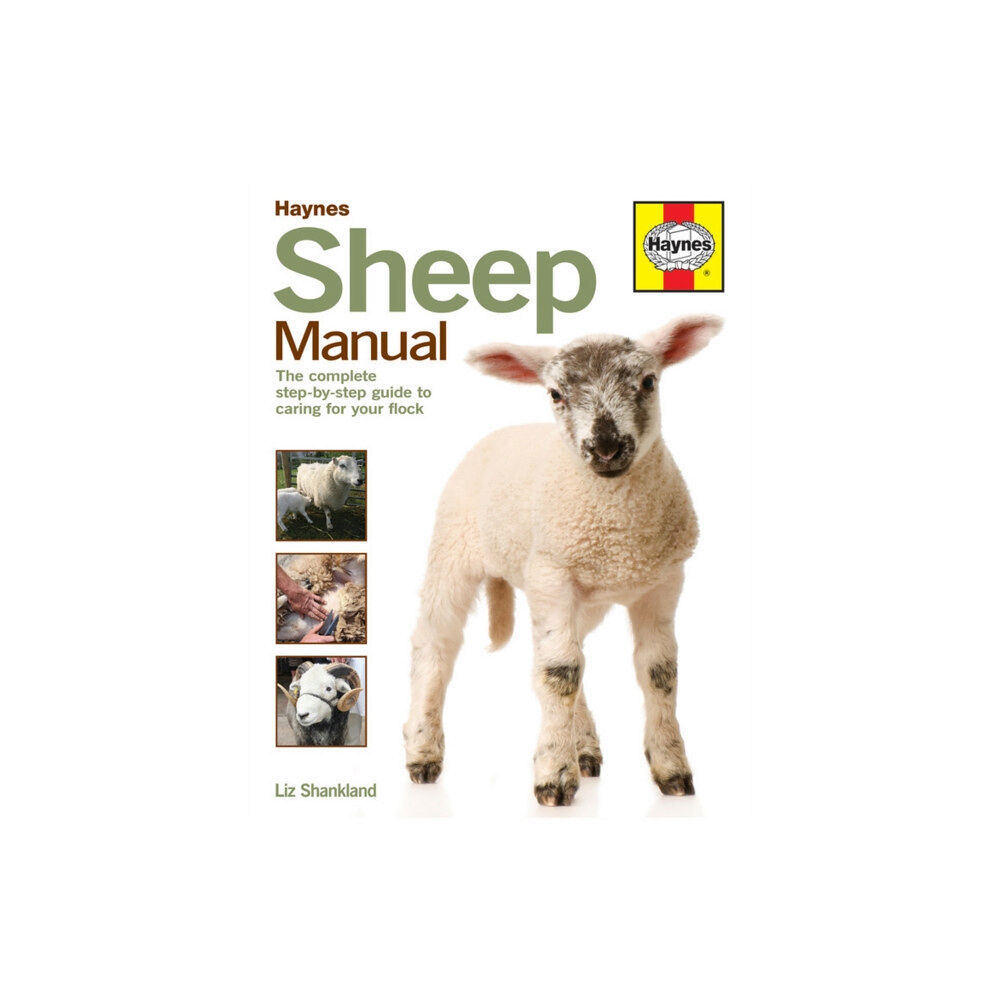 Haynes Publishing Group Sheep Manual (inbunden, eng)