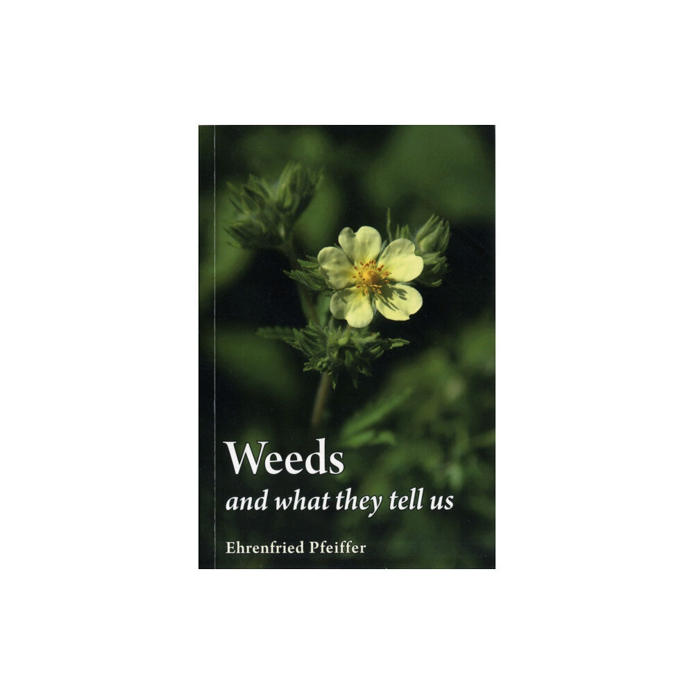 Floris Books Weeds and What They Tell Us (häftad, eng)