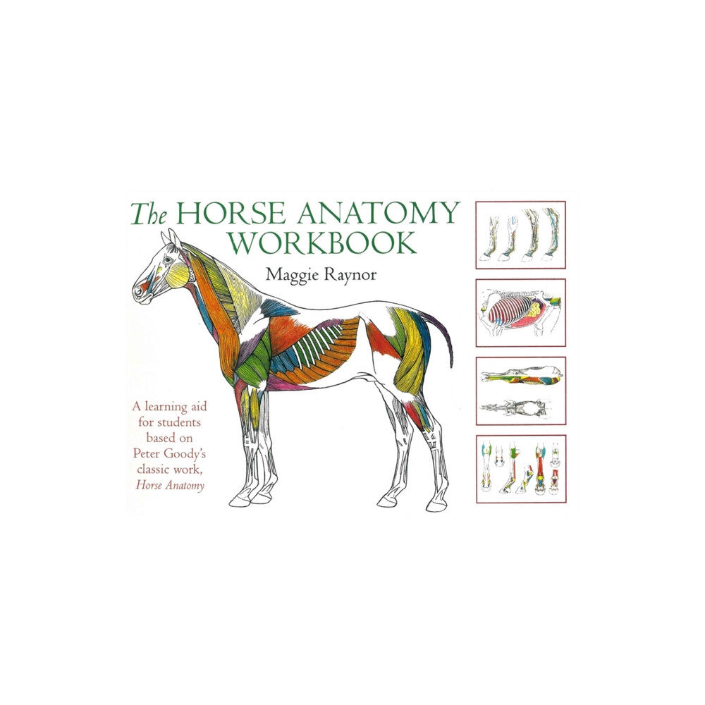 The Crowood Press Ltd Horse Anatomy Workbook (bok, spiral, eng)