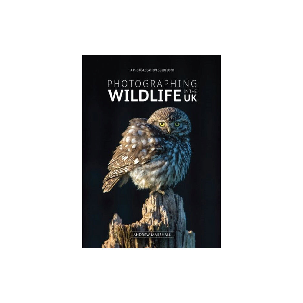FotoVue Limited Photographing Wildlife in the UK (häftad, eng)