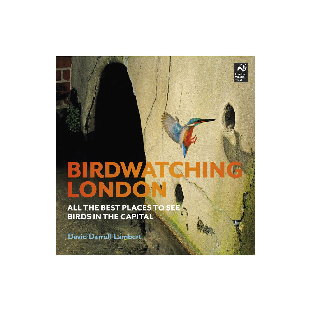 Safe Haven Books Birdwatching London (häftad, eng)