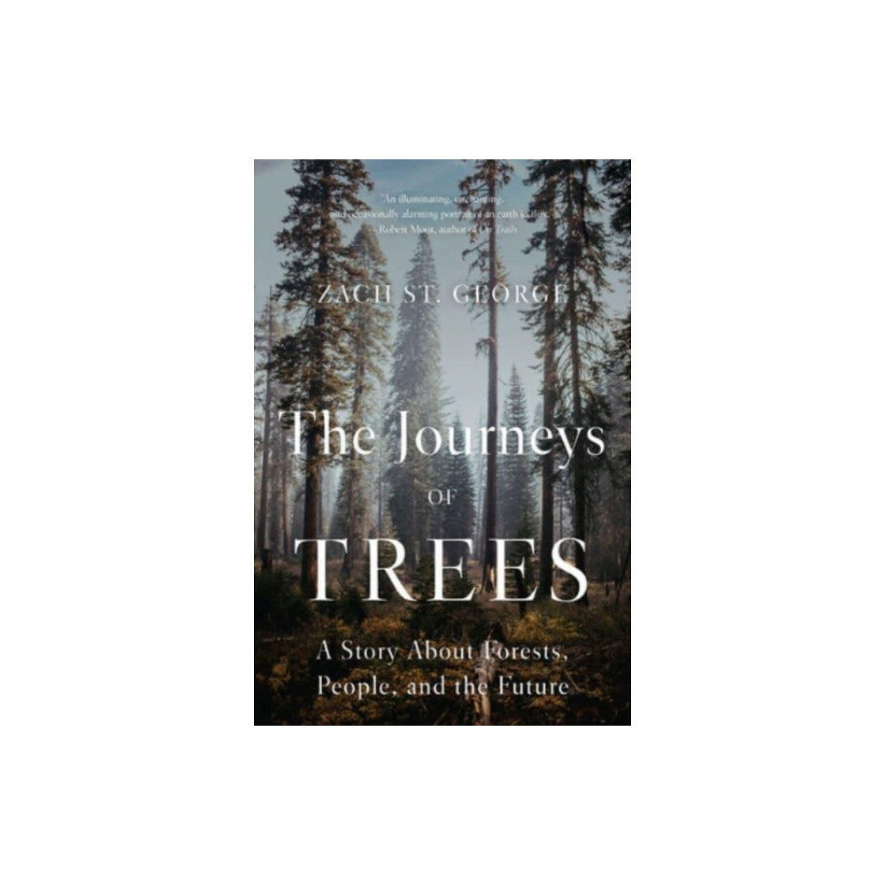 WW Norton & Co The Journeys of Trees (häftad, eng)