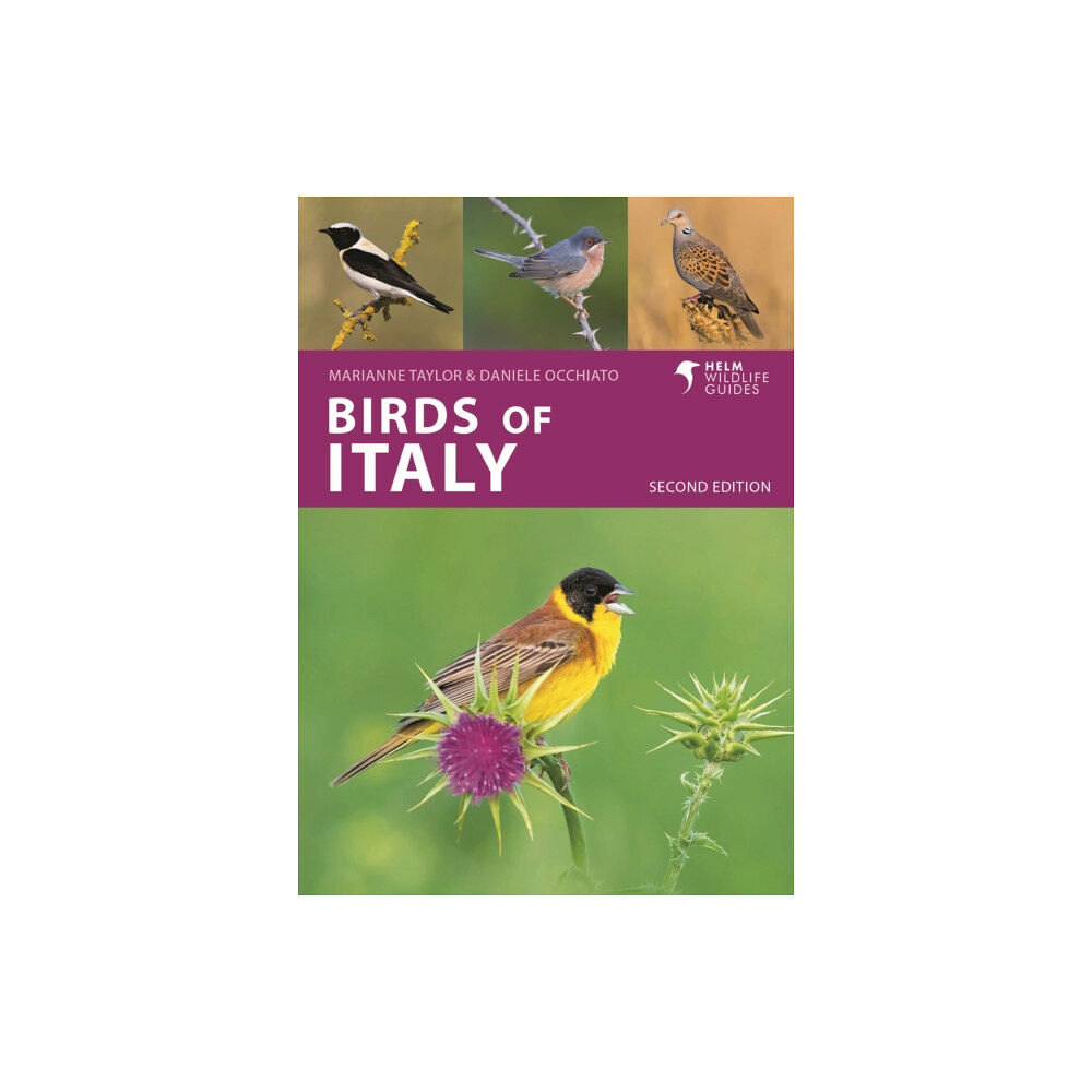 Bloomsbury Publishing PLC Birds of Italy (häftad, eng)