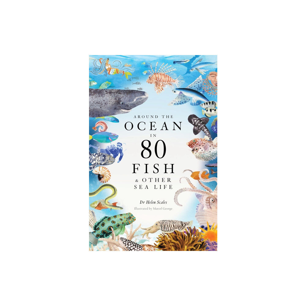 Orion Publishing Co Around the Ocean in 80 Fish and other Sea Life (inbunden, eng)