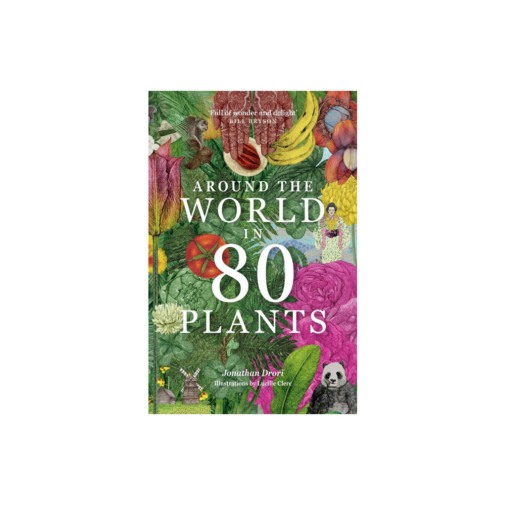 Orion Publishing Co Around the World in 80 Plants (häftad, eng)