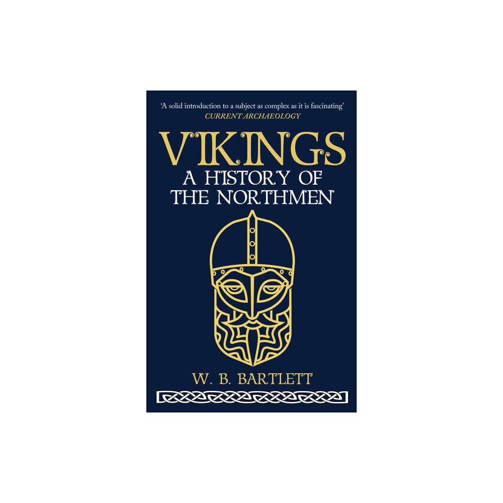 Amberley Publishing Vikings (häftad, eng)