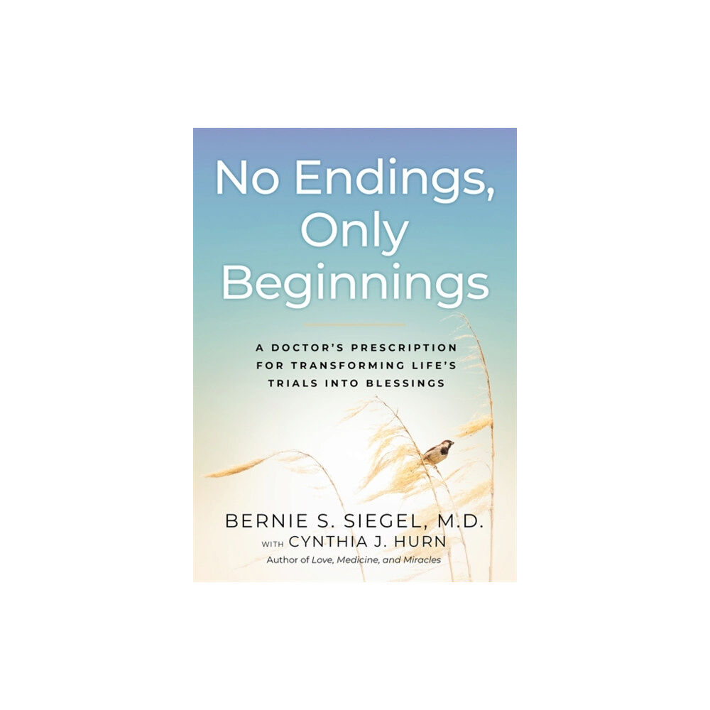 Hay House Inc No Endings, Only Beginnings (inbunden, eng)