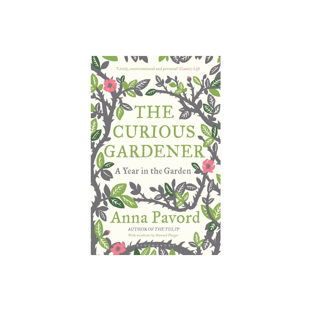 Bloomsbury Publishing PLC The Curious Gardener (häftad, eng)