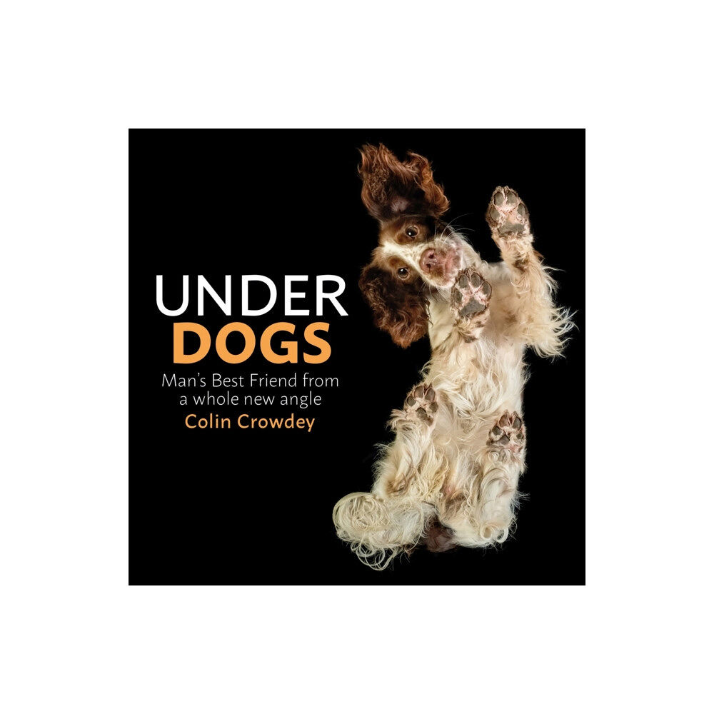 Orion Publishing Co Underdogs (inbunden, eng)