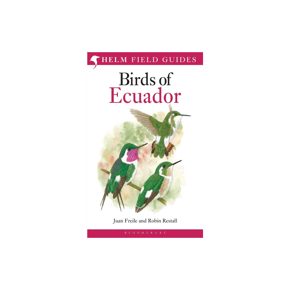Bloomsbury Publishing PLC Field Guide to the Birds of Ecuador (häftad, eng)