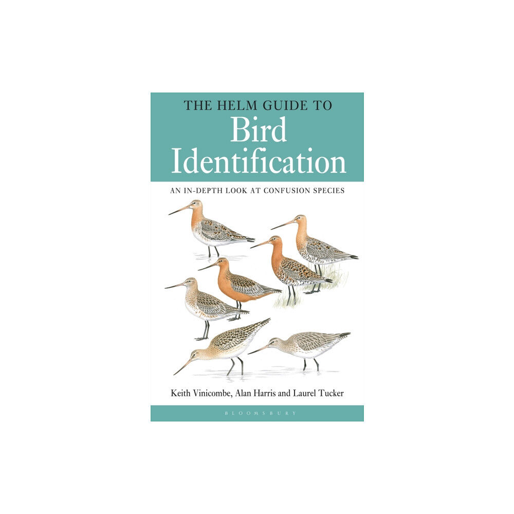 Bloomsbury Publishing PLC The Helm Guide to Bird Identification (häftad, eng)