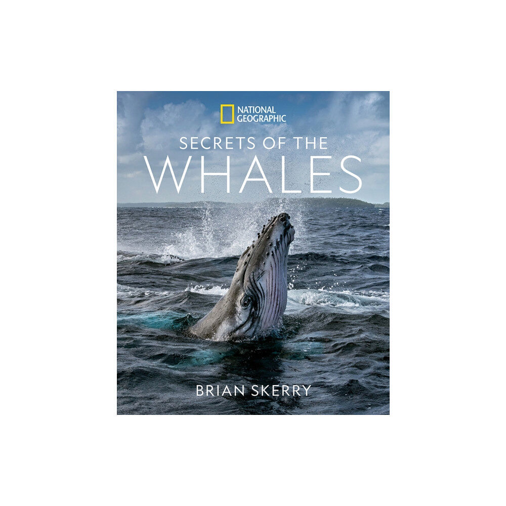 NATIONAL GEOGRAPHIC SOCIETY Secrets of the Whales (inbunden, eng)