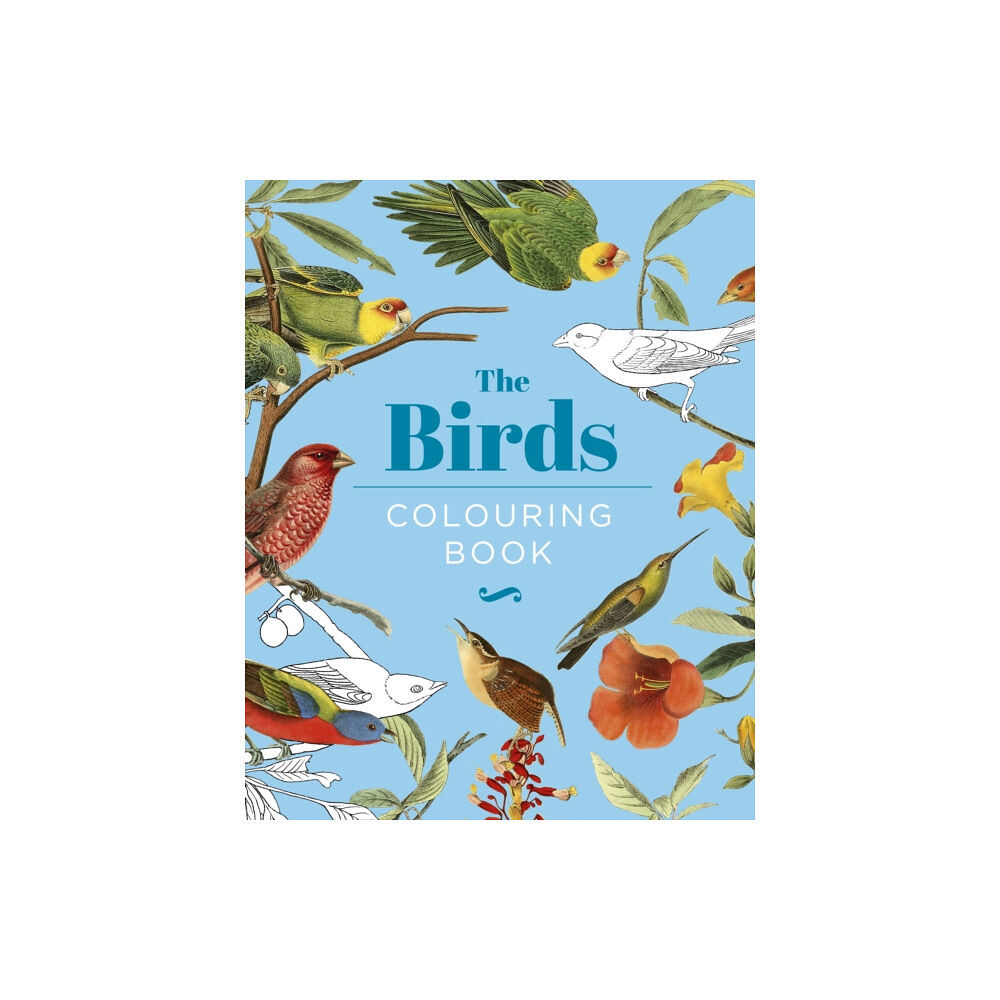 Arcturus publishing ltd The Birds Colouring Book (inbunden, eng)