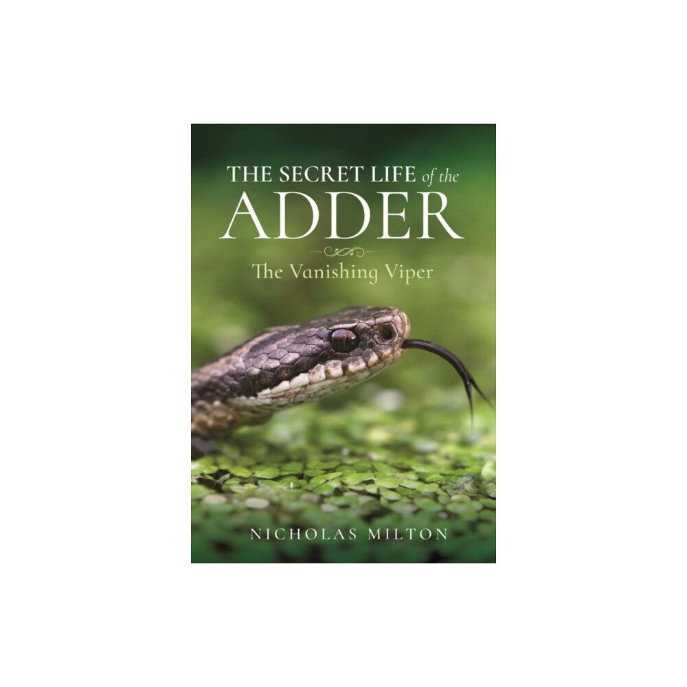 Pen & Sword Books Ltd The Secret Life of the Adder (inbunden, eng)