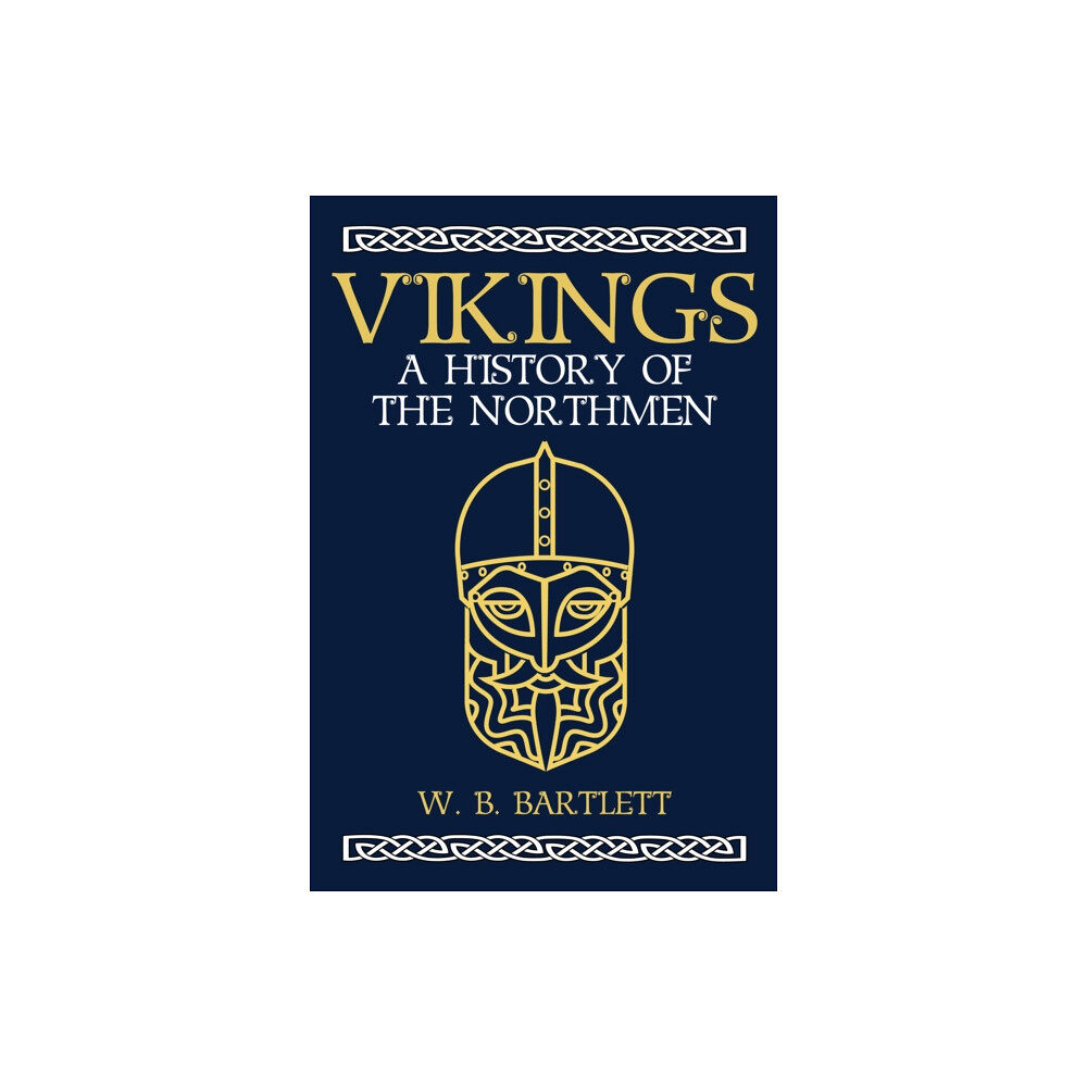 Amberley Publishing Vikings (inbunden, eng)