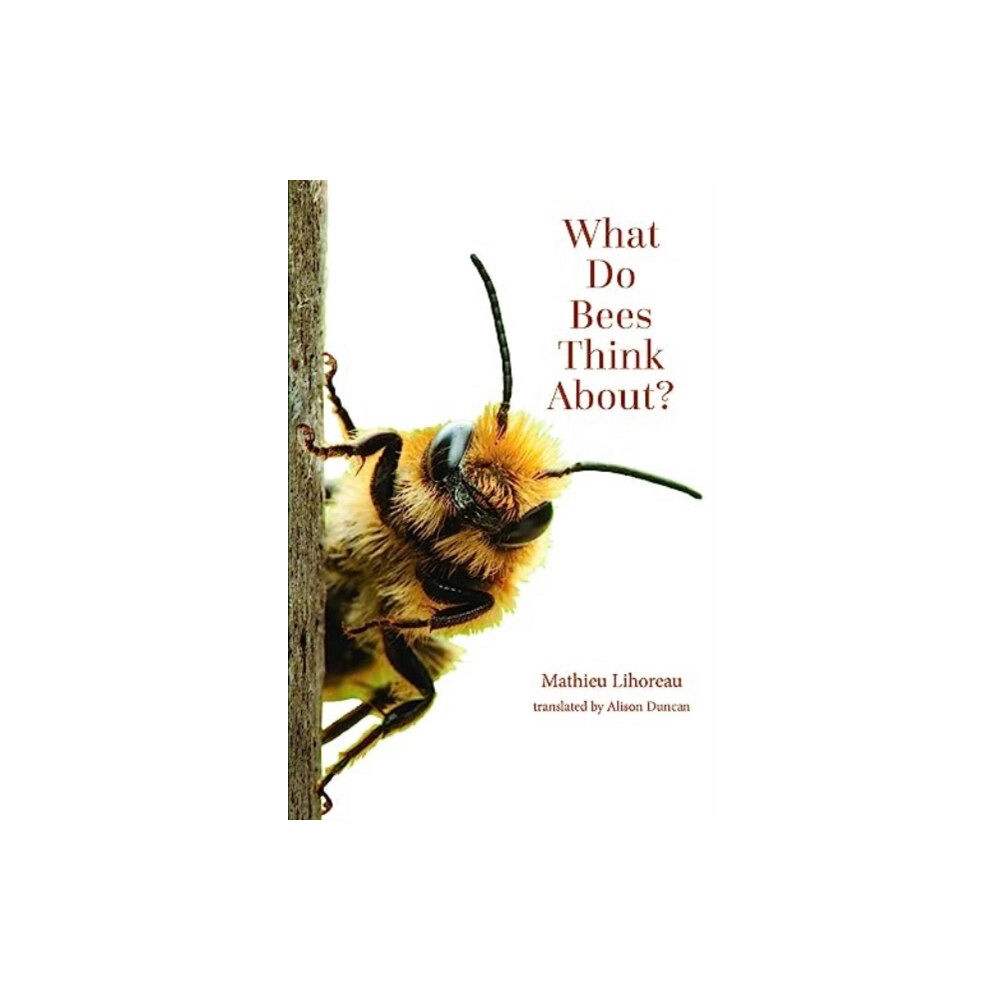 Johns Hopkins University Press What Do Bees Think About? (häftad, eng)