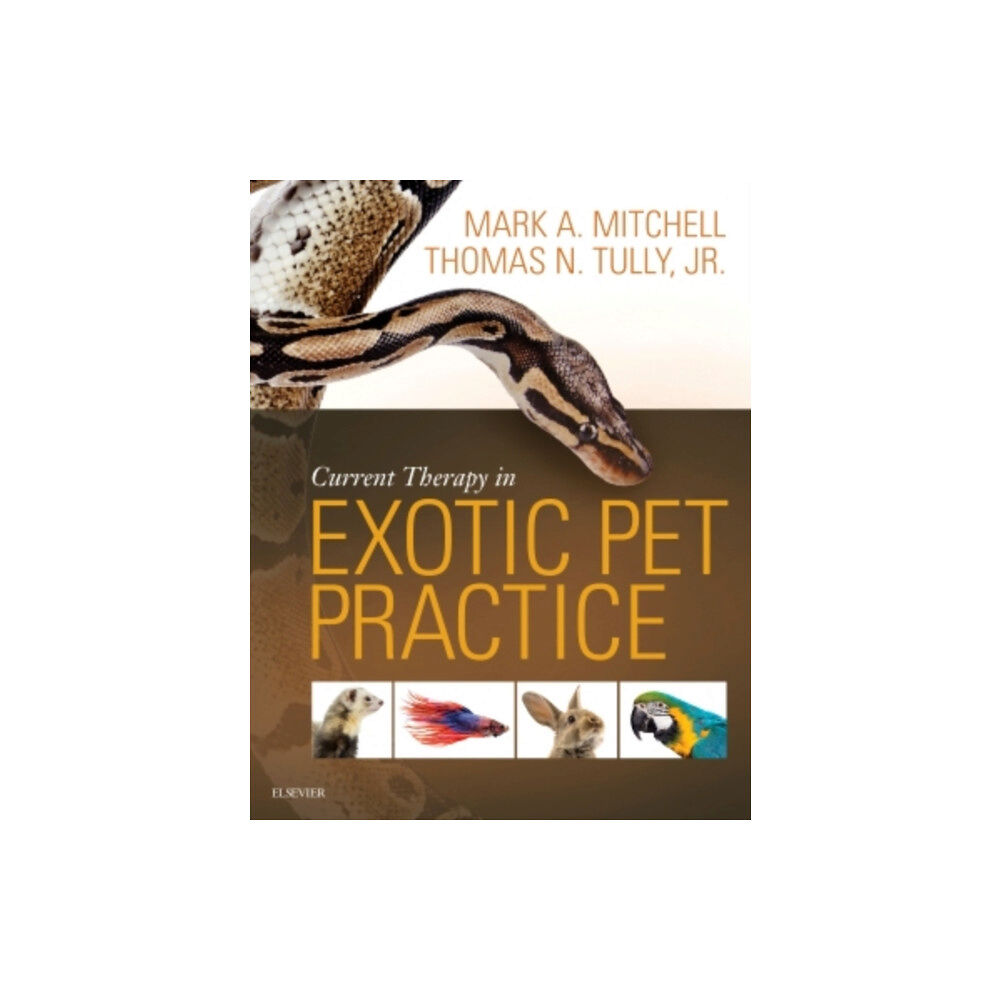 Elsevier Health Sciences Current Therapy in Exotic Pet Practice (inbunden, eng)