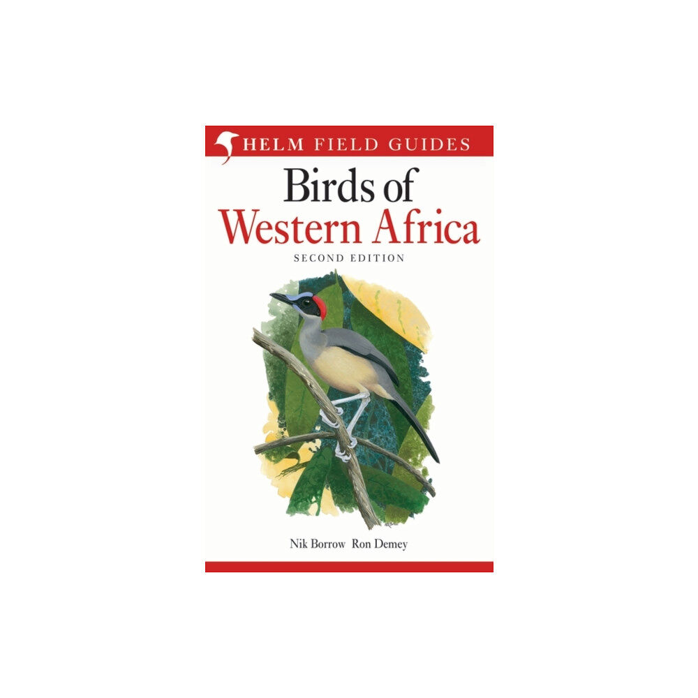 Bloomsbury Publishing PLC Field Guide to Birds of Western Africa (häftad, eng)