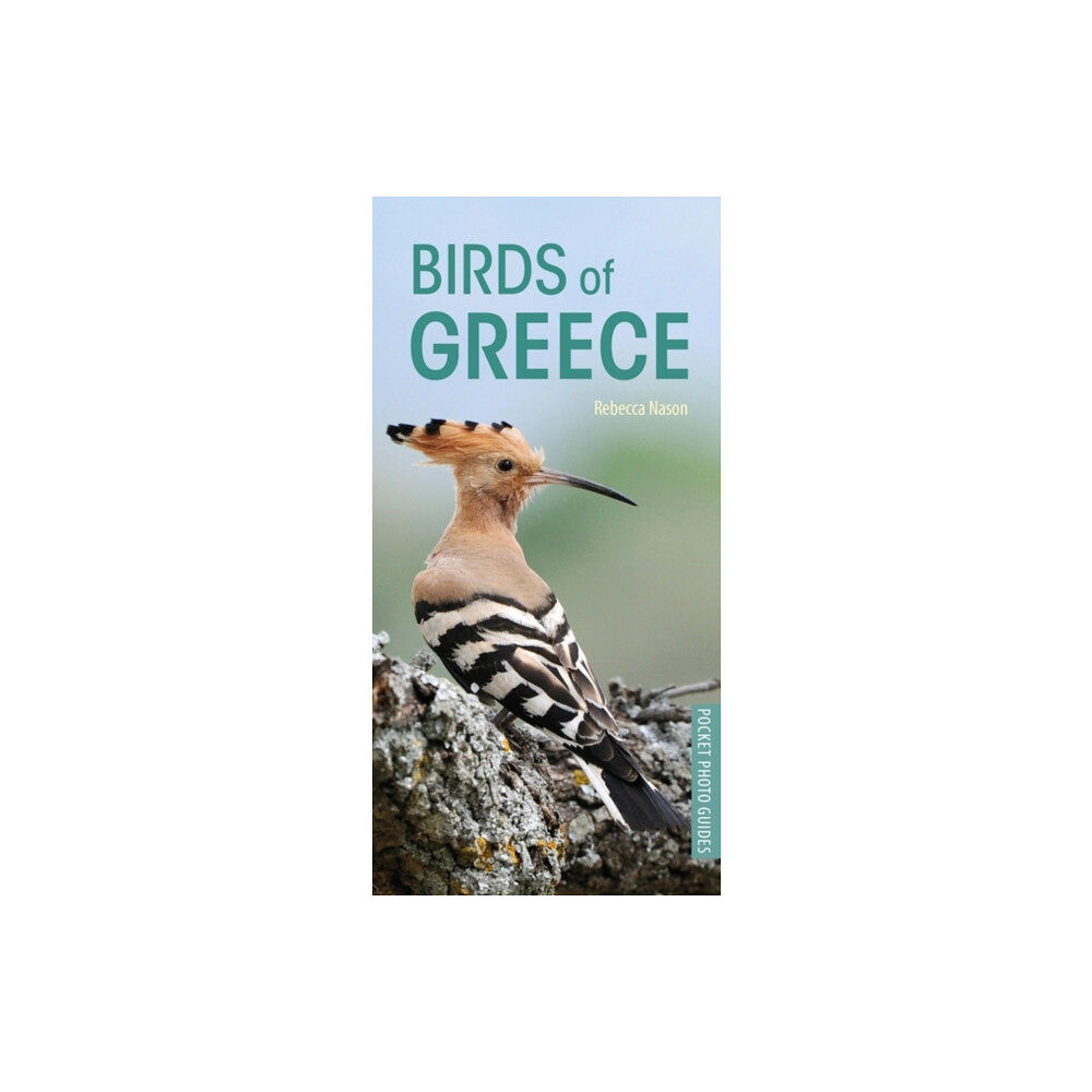 Bloomsbury Publishing PLC Birds of Greece (häftad, eng)