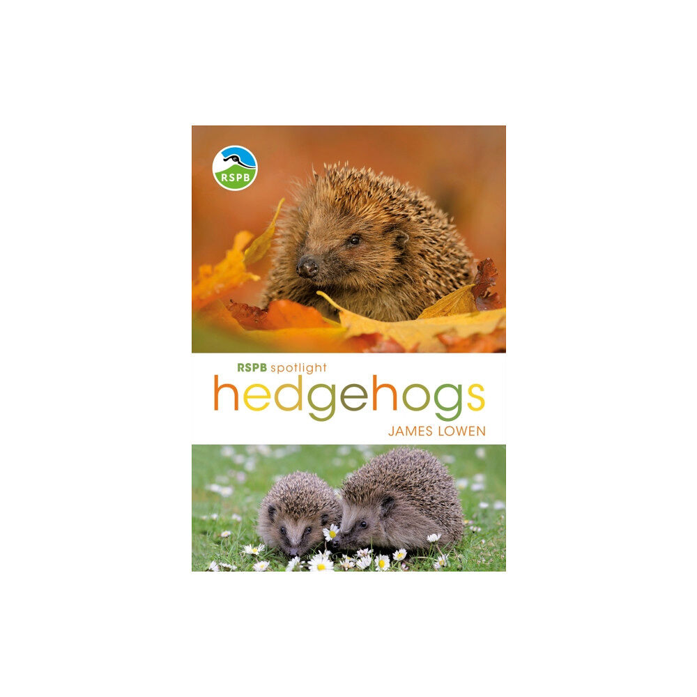 Bloomsbury Publishing PLC RSPB Spotlight Hedgehogs (häftad, eng)