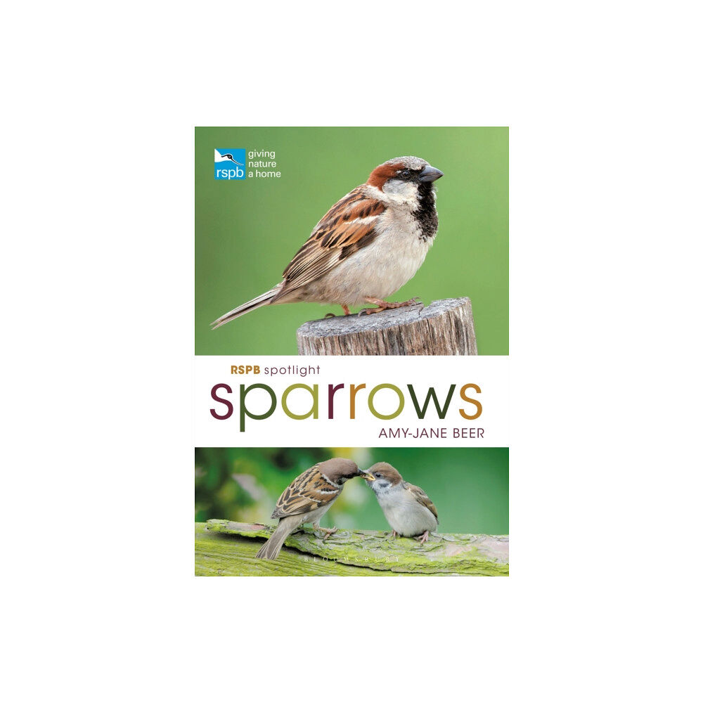 Bloomsbury Publishing PLC RSPB Spotlight Sparrows (häftad, eng)