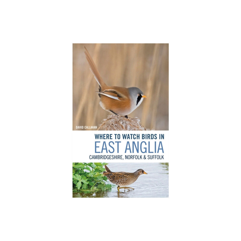Bloomsbury Publishing PLC Where to Watch Birds in East Anglia (häftad, eng)