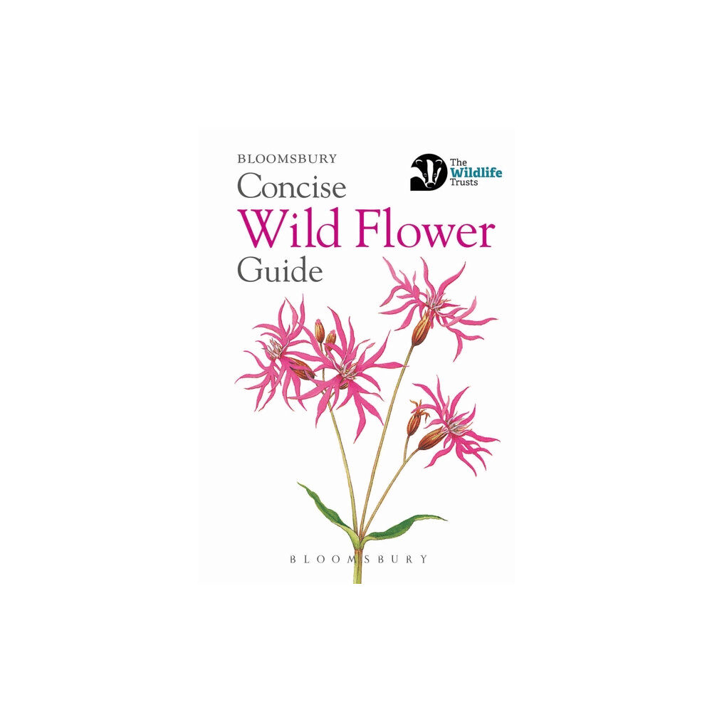 Bloomsbury Publishing PLC Concise Wild Flower Guide (häftad, eng)