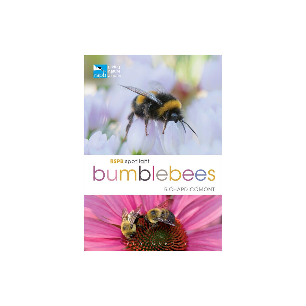 Bloomsbury Publishing PLC RSPB Spotlight Bumblebees (häftad, eng)