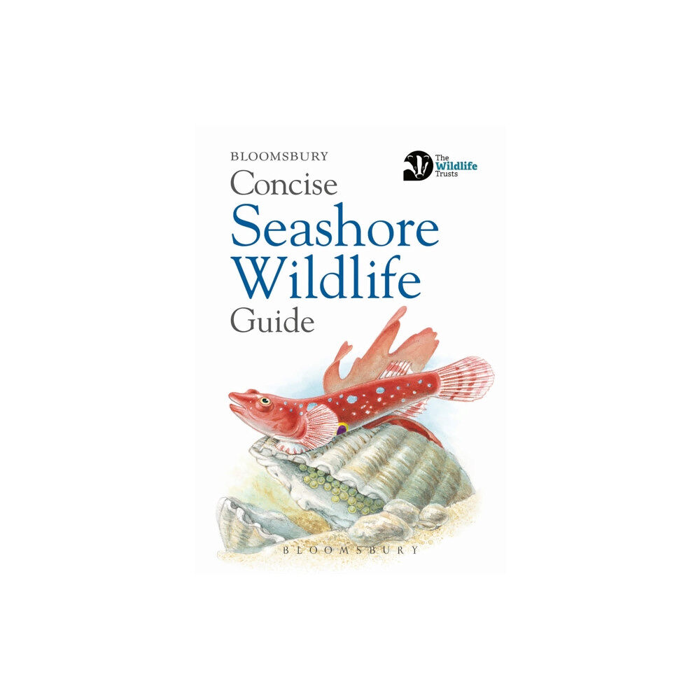 Bloomsbury Publishing PLC Concise Seashore Wildlife Guide (häftad, eng)