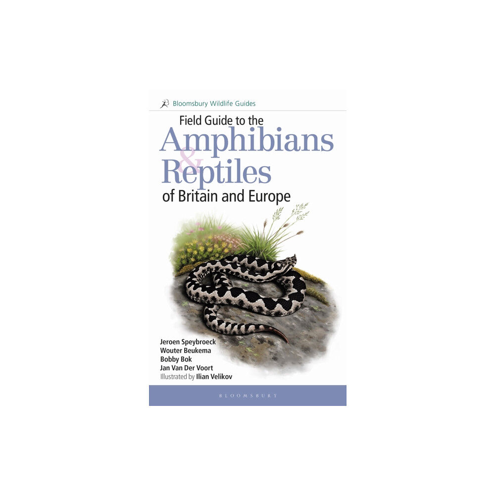 Bloomsbury Publishing PLC Field Guide to the Amphibians and Reptiles of Britain and Europe (häftad, eng)