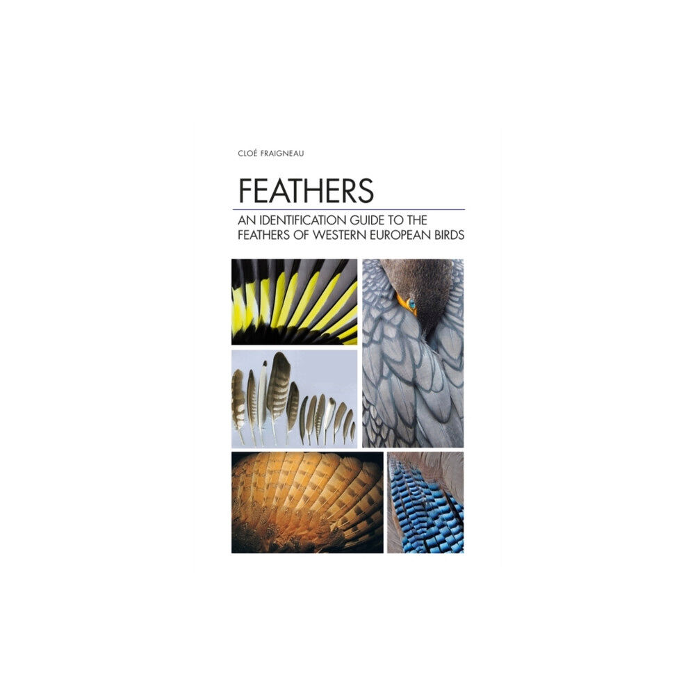 Bloomsbury Publishing PLC Feathers (inbunden, eng)