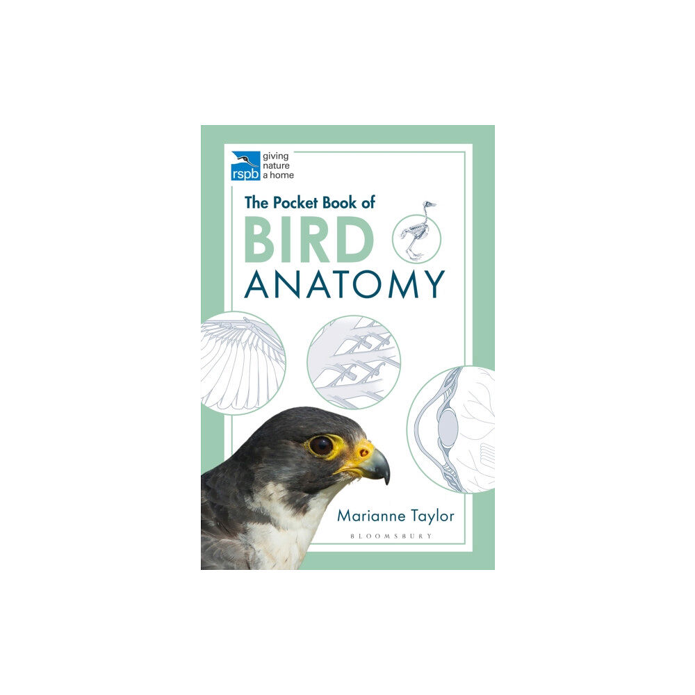 Bloomsbury Publishing PLC The Pocket Book of Bird Anatomy (häftad, eng)