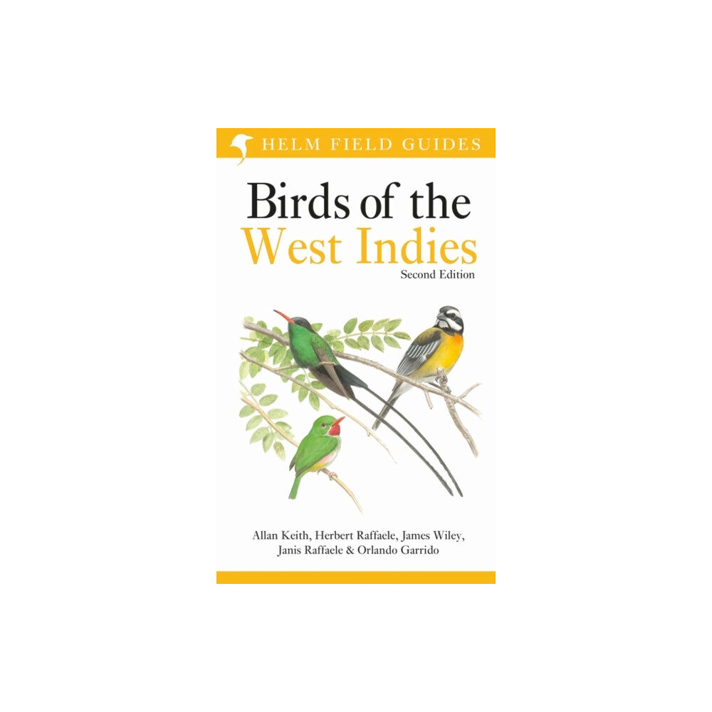 Bloomsbury Publishing PLC Field Guide to Birds of the West Indies (häftad, eng)