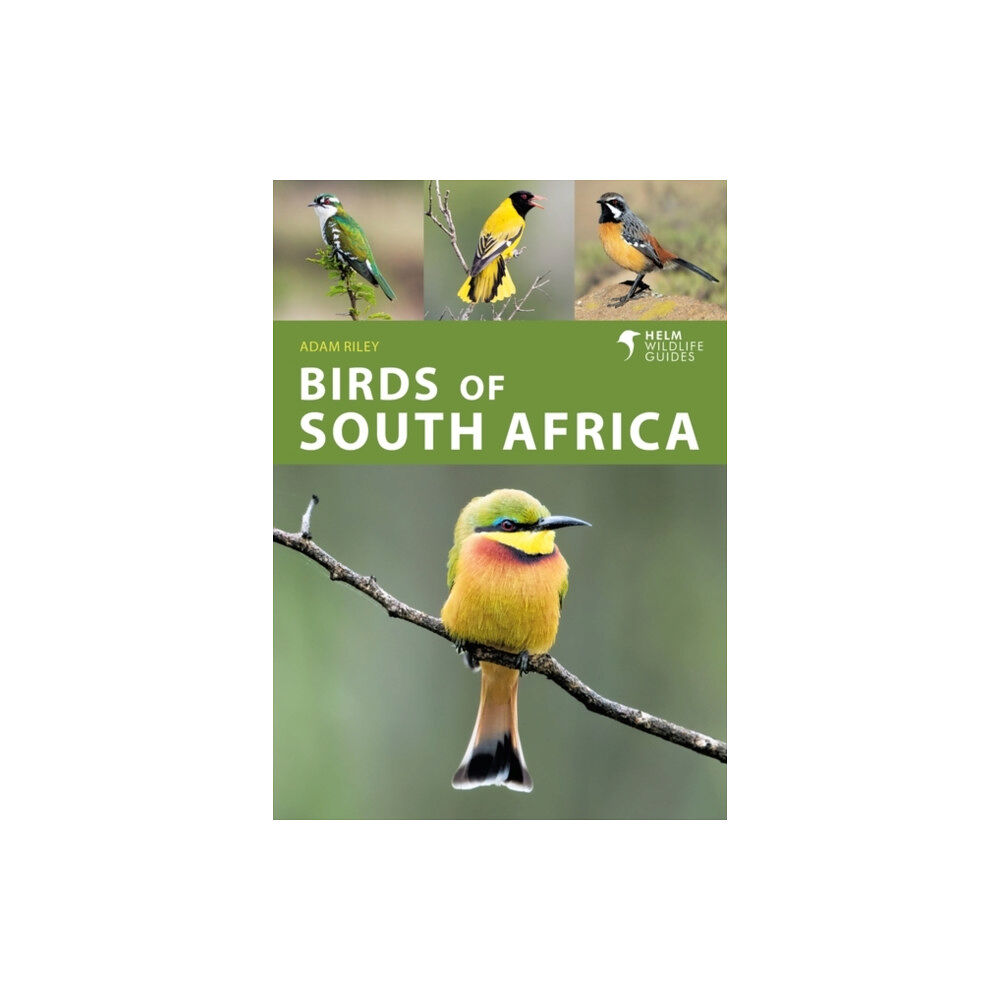 Bloomsbury Publishing PLC Birds of South Africa (häftad, eng)