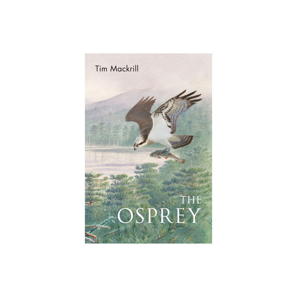 Bloomsbury Publishing PLC The Osprey (häftad, eng)