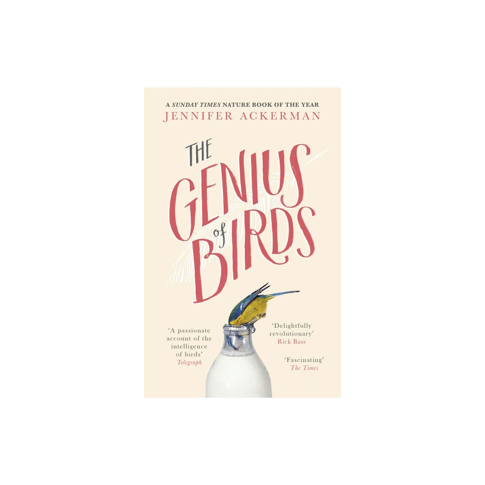 Little, Brown Book Group The Genius of Birds (häftad, eng)